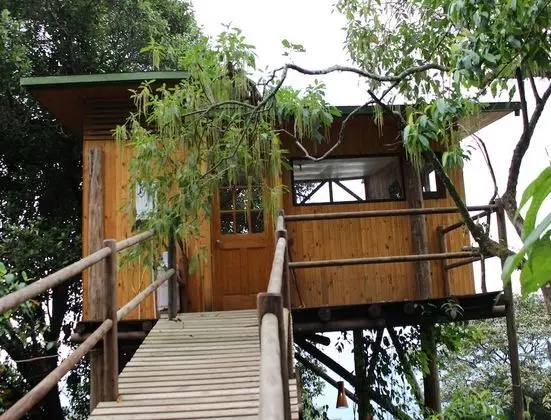 Traditional Tek Büyük Yataklı Oda