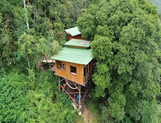 Traditional Tek Büyük Yataklı Oda
