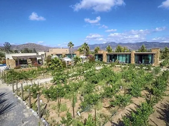 Deluxe Villa (Master)