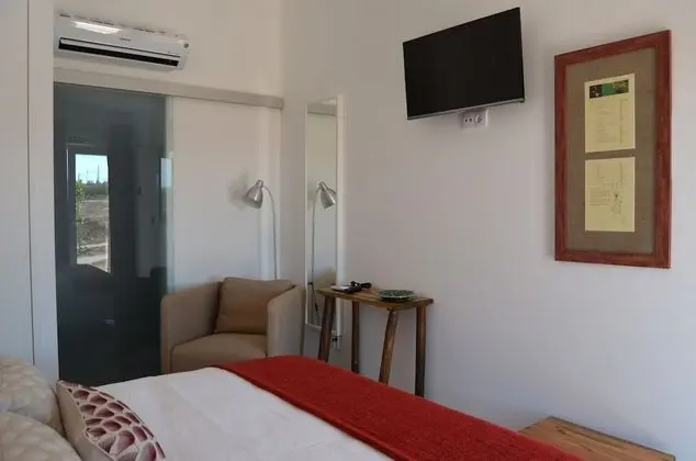 Tek Büyük Yataklı Oda, Üzüm Asması Manzaralı