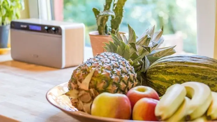 Family Daire, Birden Çok Yatak, Sigara İçilmez, Bahçe Manzaralı