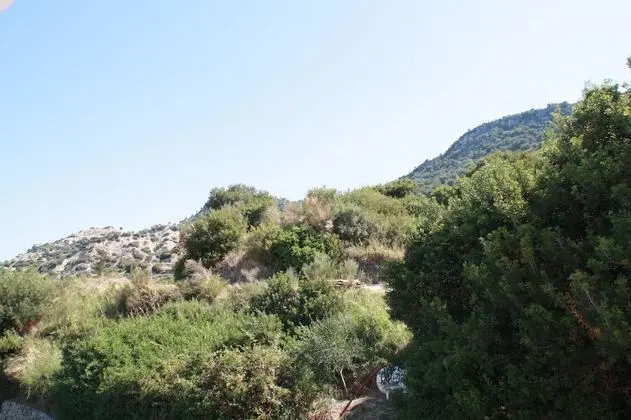 Dört Kişilik Oda