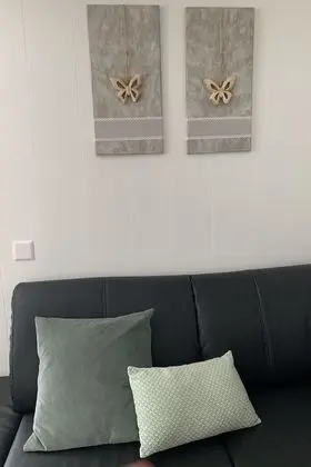 Ev
