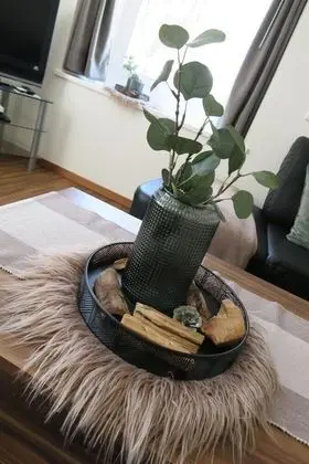 Ev