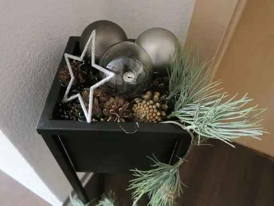 Ev