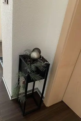 Ev