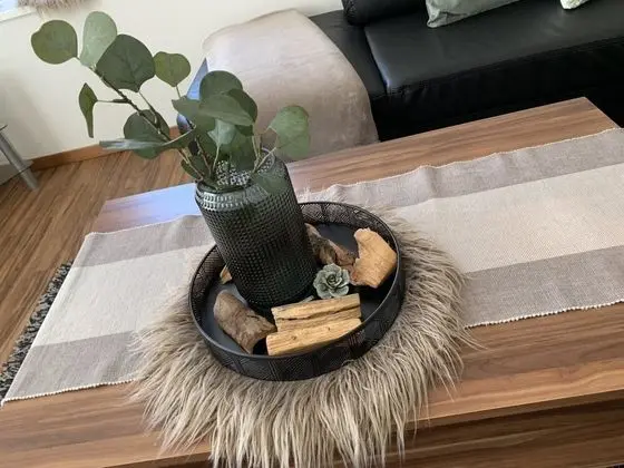 Ev