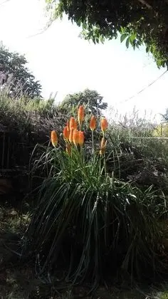 Apart Daire, 2 Yatak Odası, Balkon