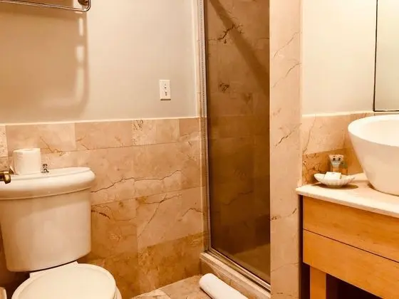 Superior Tek Büyük Yataklı Oda, 1 Büyük (Queen) Boy Yatak, Özel Banyo