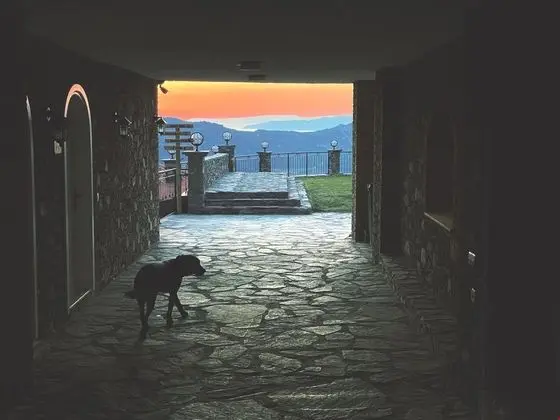 Ekonomik - Çift Kişilik