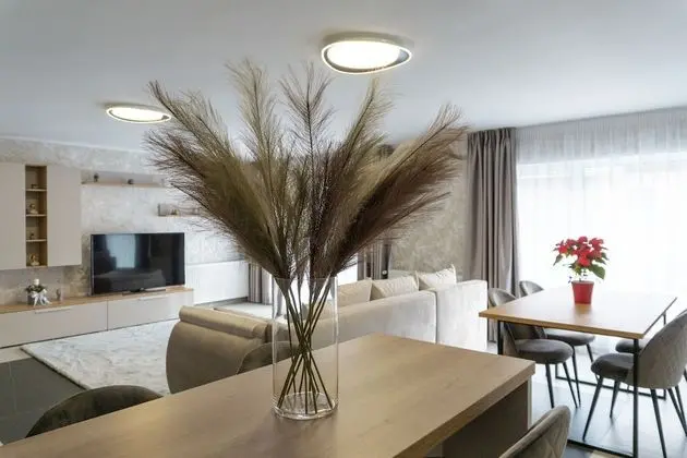 Deluxe Apart Daire, 1 Yatak Odası