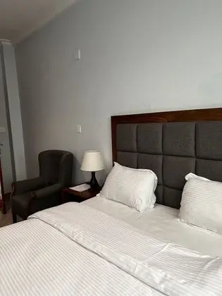 Süit