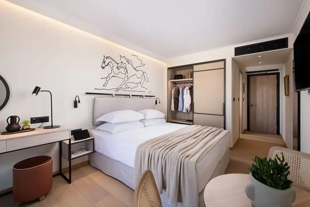 Deluxe Tek Büyük veya İki Ayrı Yataklı Oda