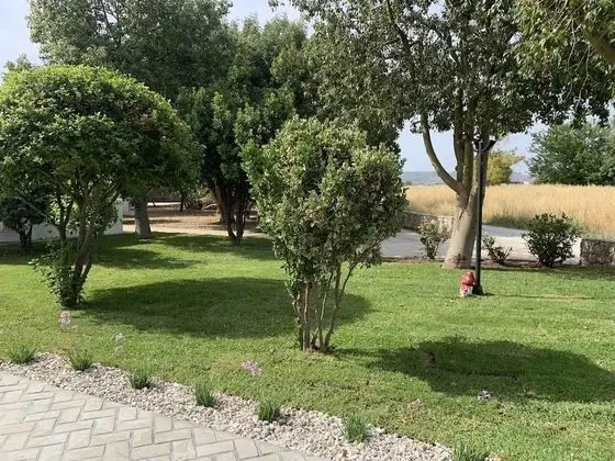Design Çatı Katı (Loft)
