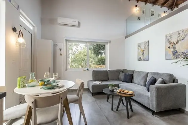 Design Çatı Katı (Loft)