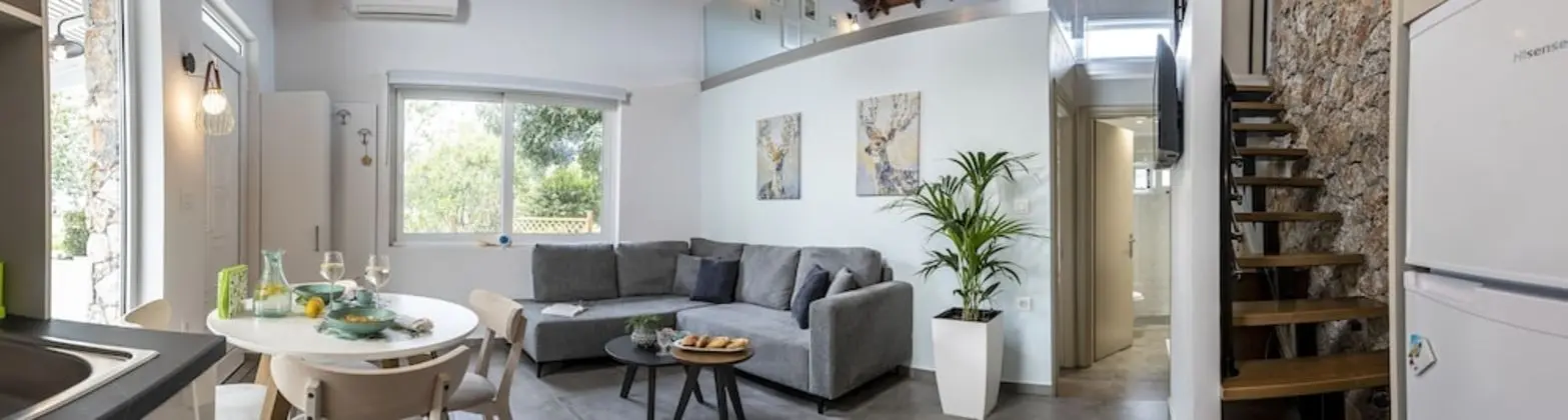 Design Çatı Katı (Loft)