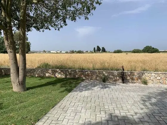 Design Çatı Katı (Loft)