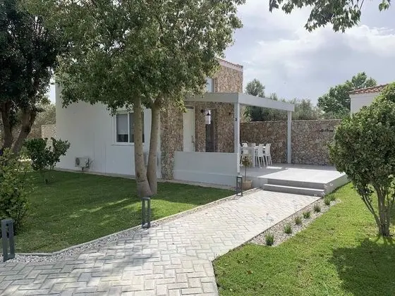 Design Çatı Katı (Loft)