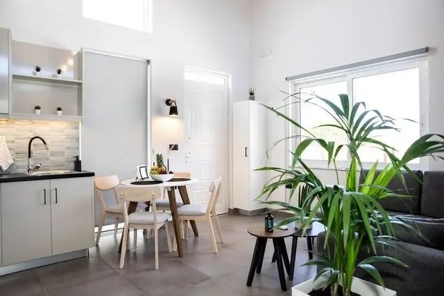 Design Süit