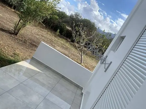 Design Süit