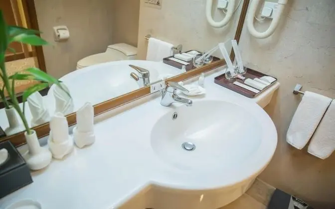Executive Tek Büyük Yataklı Oda
