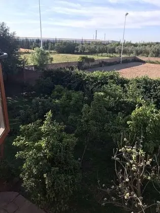 Chambre le selle français