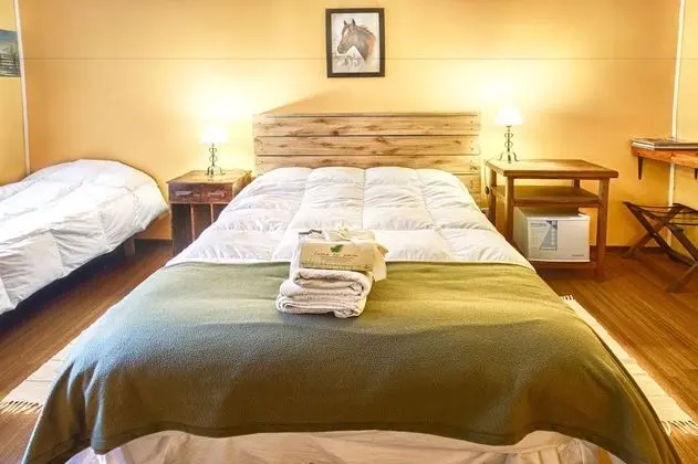 Standard Tek Büyük Yataklı Oda (Fadda)