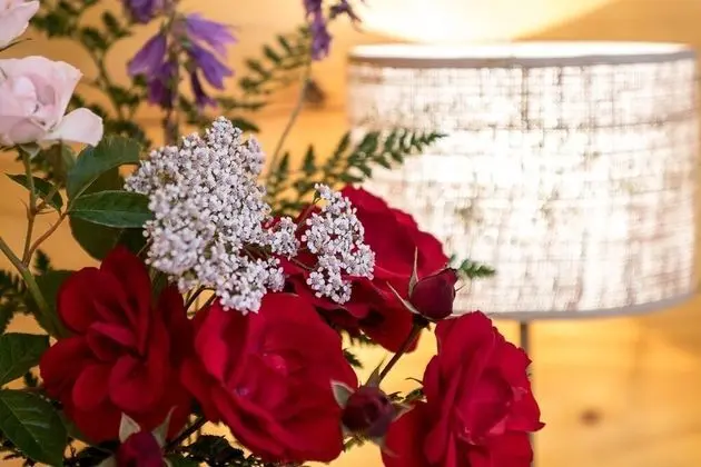 Superior Tek Büyük Yataklı Oda (Babieca)