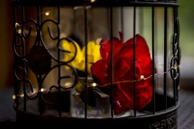 Superior Tek Büyük Yataklı Oda (Kantaka)