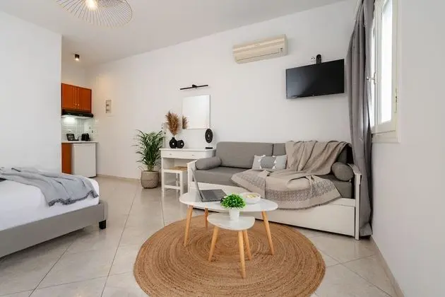 Basic Stüdyo, 1 Çift Kişilik Yatak ve Çekyat, Şehir Manzaralı