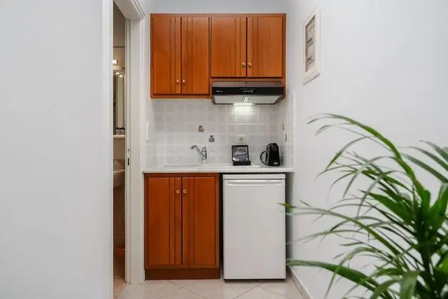 Basic Stüdyo, 1 Çift Kişilik Yatak ve Çekyat, Şehir Manzaralı