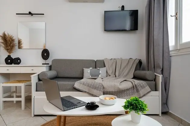 Basic Stüdyo, 1 Çift Kişilik Yatak ve Çekyat, Şehir Manzaralı