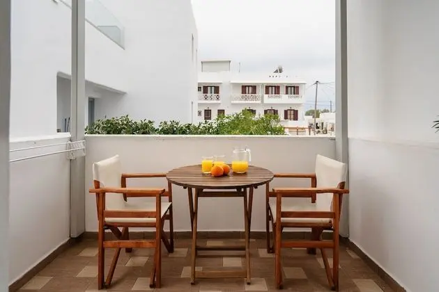 Basic Stüdyo, 1 Çift Kişilik Yatak ve Çekyat, Şehir Manzaralı
