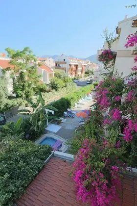 Stüdyo