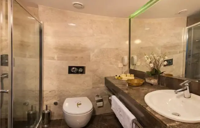 Standart Oda, Şehir Manzaralı, Klimalı