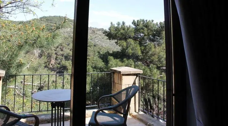 Teraslı Standart Oda, Orman Manzaralı, Teraslı