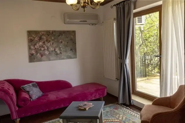 Teraslı Standart Oda, Orman Manzaralı, Teraslı