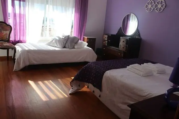 Tek Büyük Yataklı Oda, Ortak Banyo, Deniz Manzaralı (Violet Dreams)