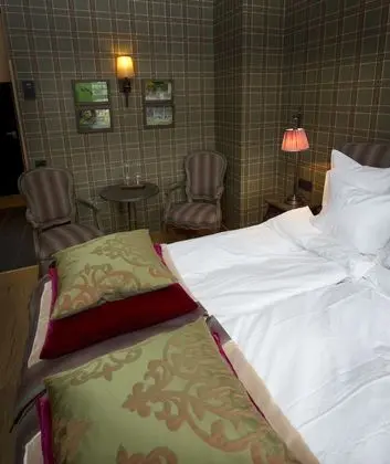 Tek Büyük Yataklı Oda (Dammvillan)