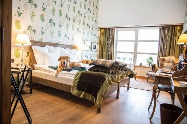 Tek Büyük Yataklı Oda (Safarivillan)