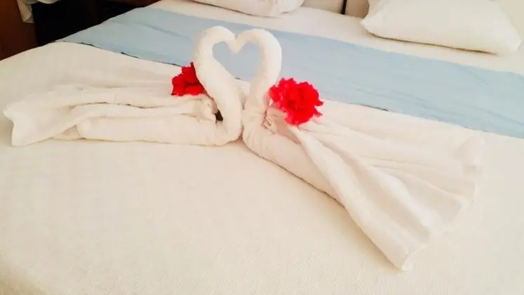 Standart Oda, Bahçe Manzaralı
