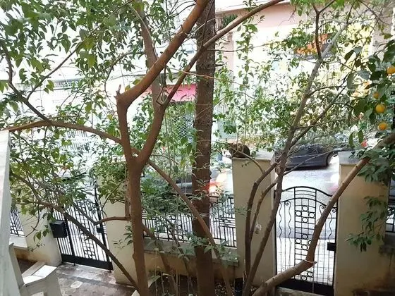 Traditional Apart Daire, 5 Yatak Odası, 2 Banyolu, Şehir Manzaralı