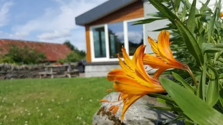 Kır Evi, Birden Çok Yatak, Dağ Manzaralı