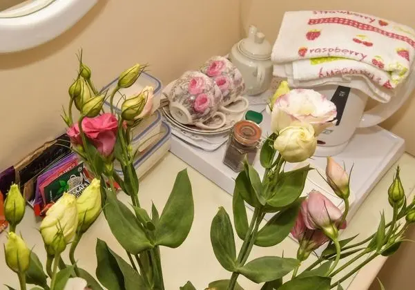 Tek Büyük Yataklı Oda (En-suite)