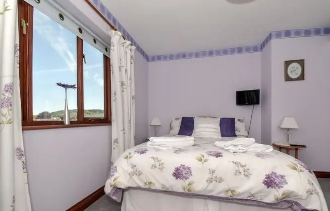 Tek Büyük Yataklı Oda (Private Bathroom)