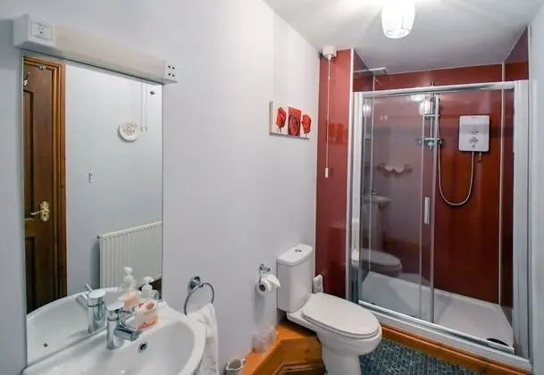 Tek Büyük Yataklı Oda (Private Bathroom)