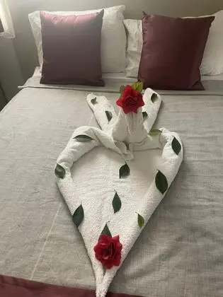 Apartment, Şehir Manzaralı