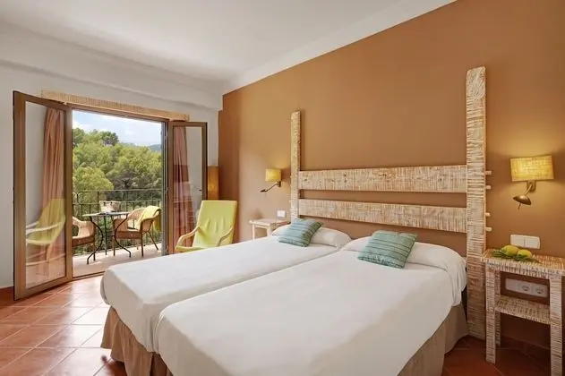 Tek Büyük Yataklı Oda (Spa access)