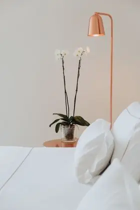 Superior Tek Büyük Yataklı Oda (Spa Access)