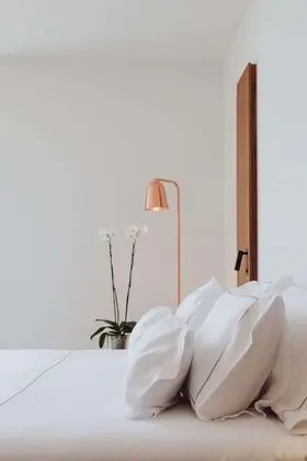 Superior Tek Büyük Yataklı Oda (Spa Access)